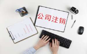 蕪湖哪些企業類型可以申請簡易注銷需要提交哪些材料