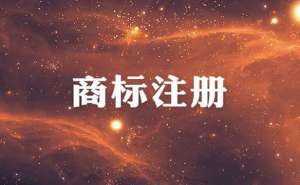 蕪湖繁昌區注冊商標查詢申請如何辦理