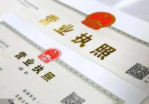 辦理蕪湖營業執照需要提交哪些材料